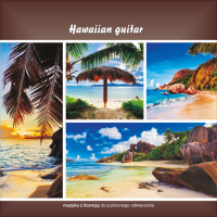HAWAIIAN GUITAR - 432 HZ. Muzyka na CD z licencją