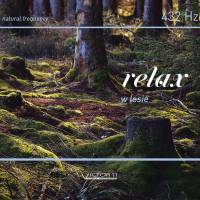 RELAKS W LESIE - 432 HZ. Muzyka na CD z licencją